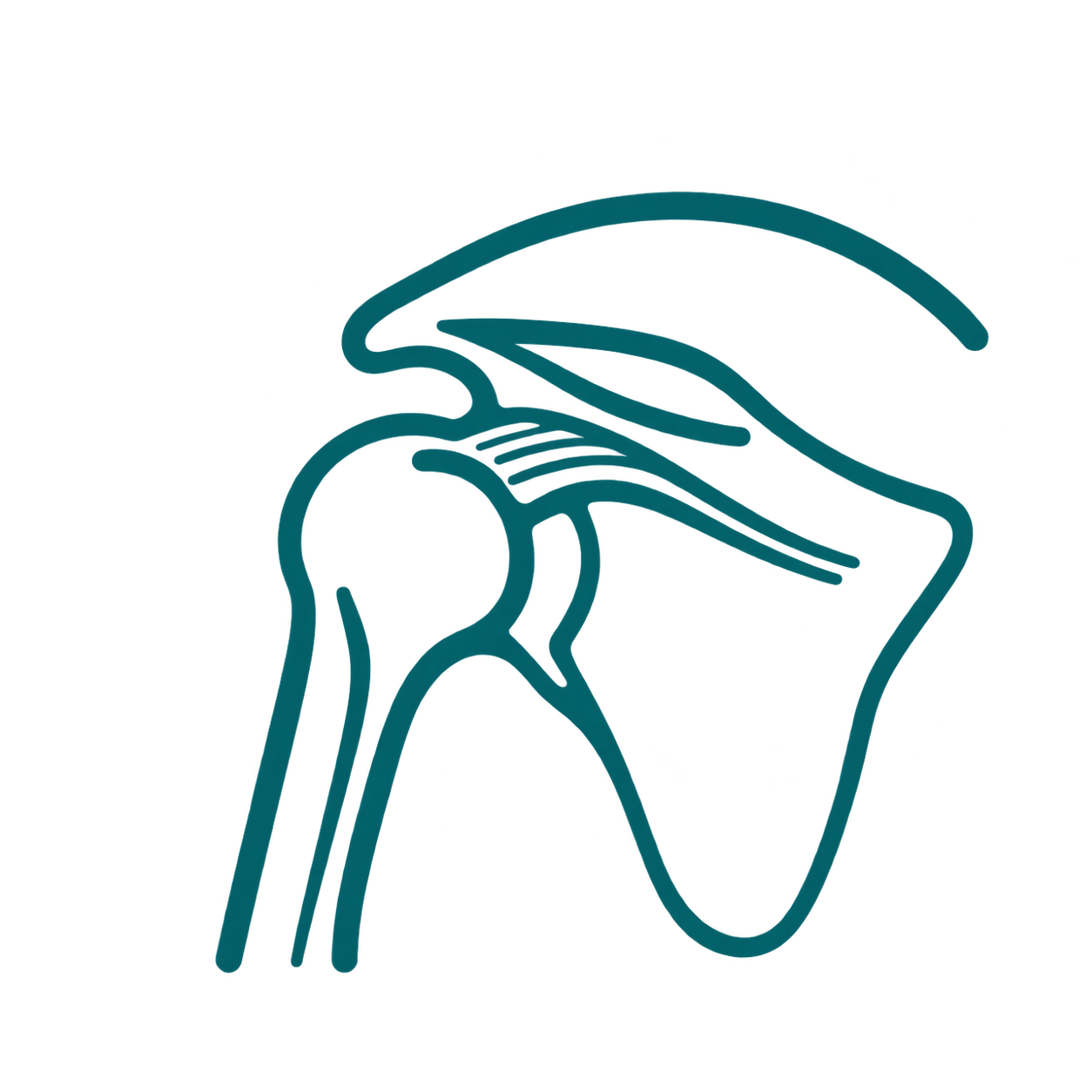 Shoulder injuries